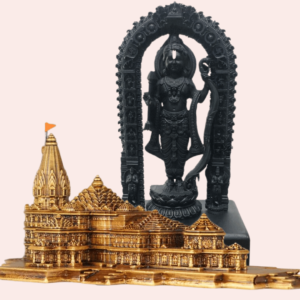 Ayodhya Ram Mandir | Ayodhya Ram Lalla Murti